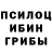 Псилоцибиновые грибы Magic Shrooms Viktoriia Ostapenko