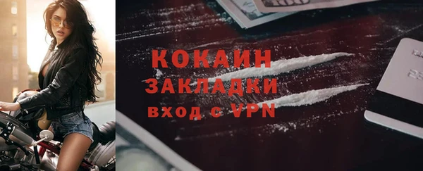 ГАЛЛЮЦИНОГЕННЫЕ ГРИБЫ Лагань