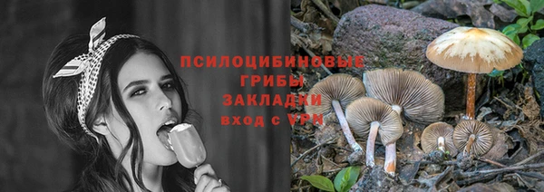 ГАЛЛЮЦИНОГЕННЫЕ ГРИБЫ Лагань