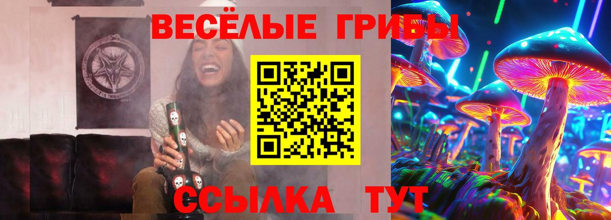 Новотроицк  Галлюциногенные грибы мухоморы  Вход с VPN 