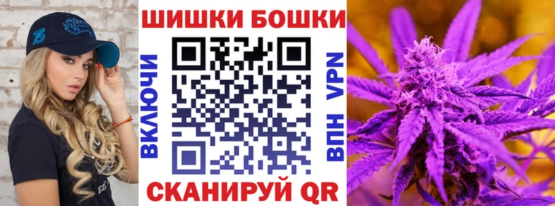 цена наркотик  мега как войти  Шишки марихуана сатива  Новотроицк 